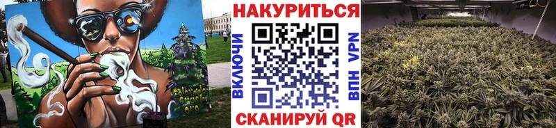 Где купить наркоту Южно-Сухокумск КОКАИН Меф Псилоцибиновые грибы Канабис Гашиш
