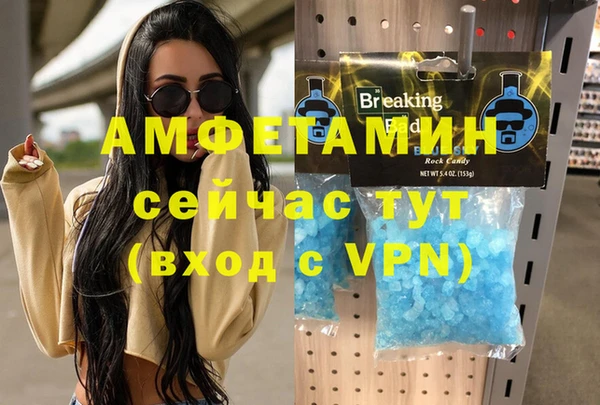 гидра Вяземский