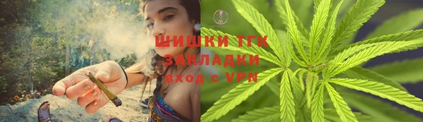 ПСИЛОЦИБИНОВЫЕ ГРИБЫ Вязьма