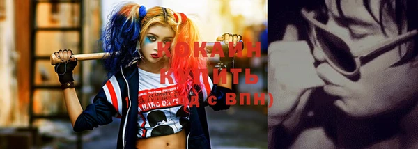 гидра Вяземский