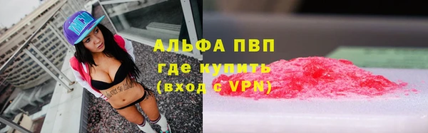 ПСИЛОЦИБИНОВЫЕ ГРИБЫ Вязьма
