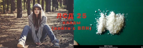 ПСИЛОЦИБИНОВЫЕ ГРИБЫ Вязьма