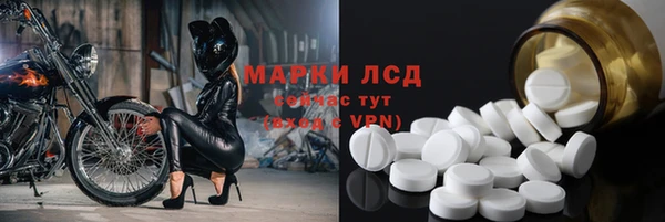 гидра Вяземский