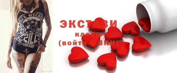 гидра Вяземский