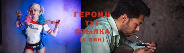 гидра Вяземский