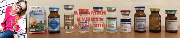 гидра Вяземский