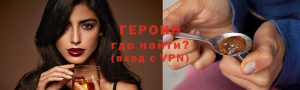 гидра Вяземский