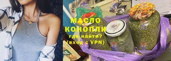 гидра Вяземский