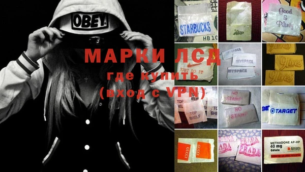 ПСИЛОЦИБИНОВЫЕ ГРИБЫ Вязьма
