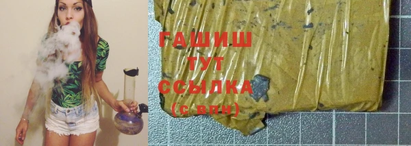 гидра Вяземский