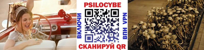 мега ONION  Южно-Сухокумск  Галлюциногенные грибы GOLDEN TEACHER 