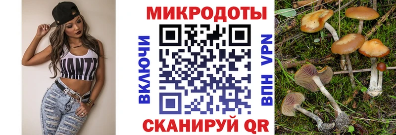 Псилоцибиновые грибы GOLDEN TEACHER Южно-Сухокумск